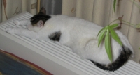 Lekker warm